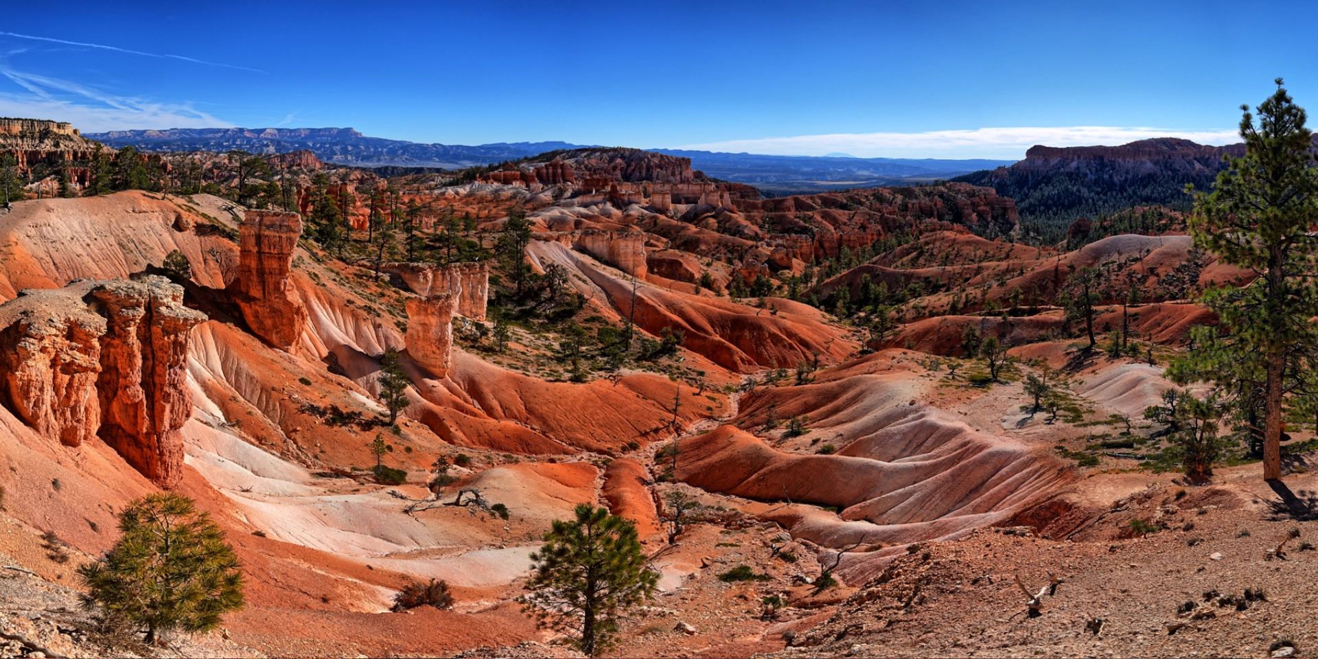 bryce