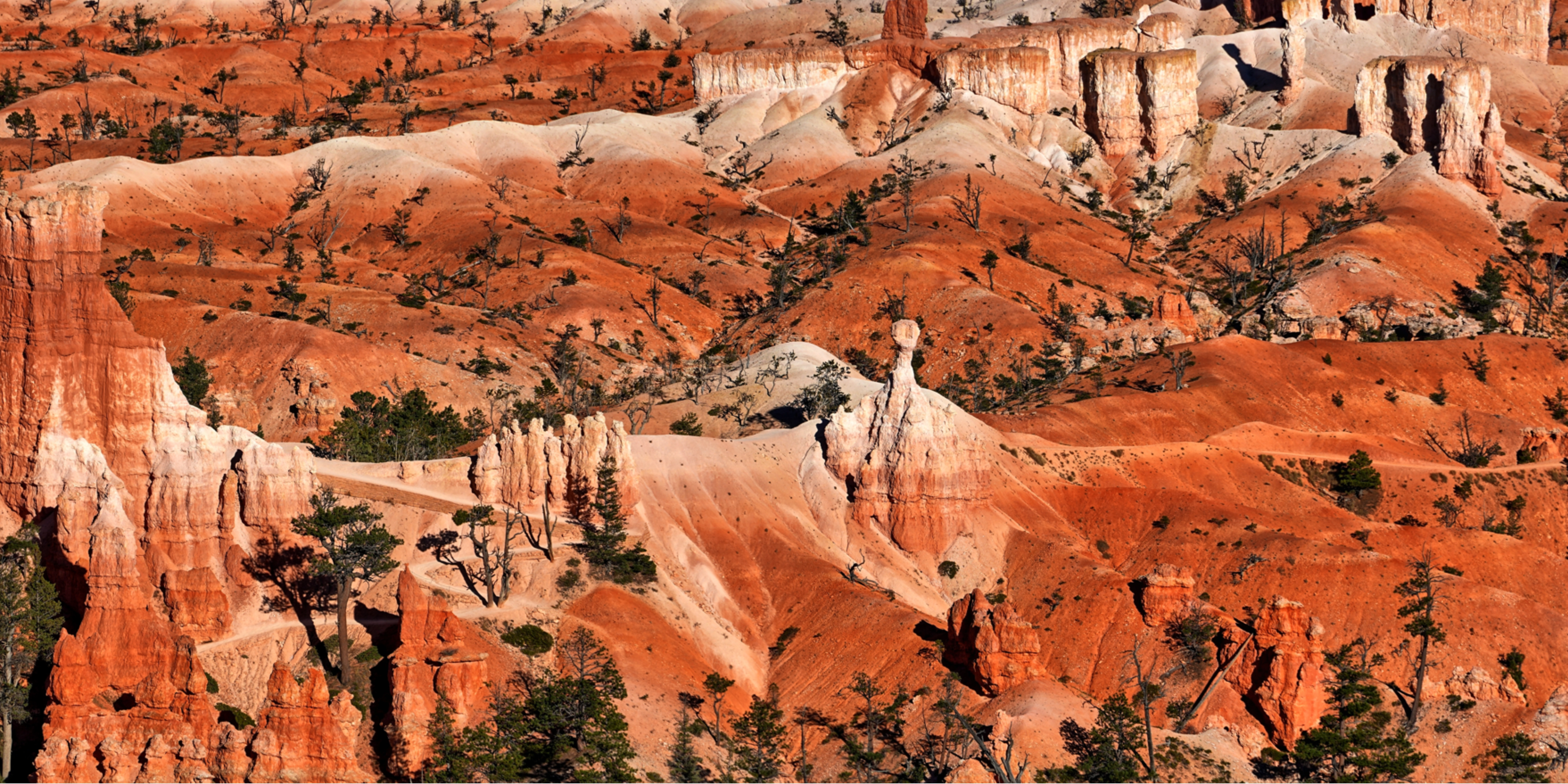 bryce